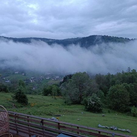 Les Chalets Bambi & Jacuzzi Privatif La Bresse Ngoại thất bức ảnh