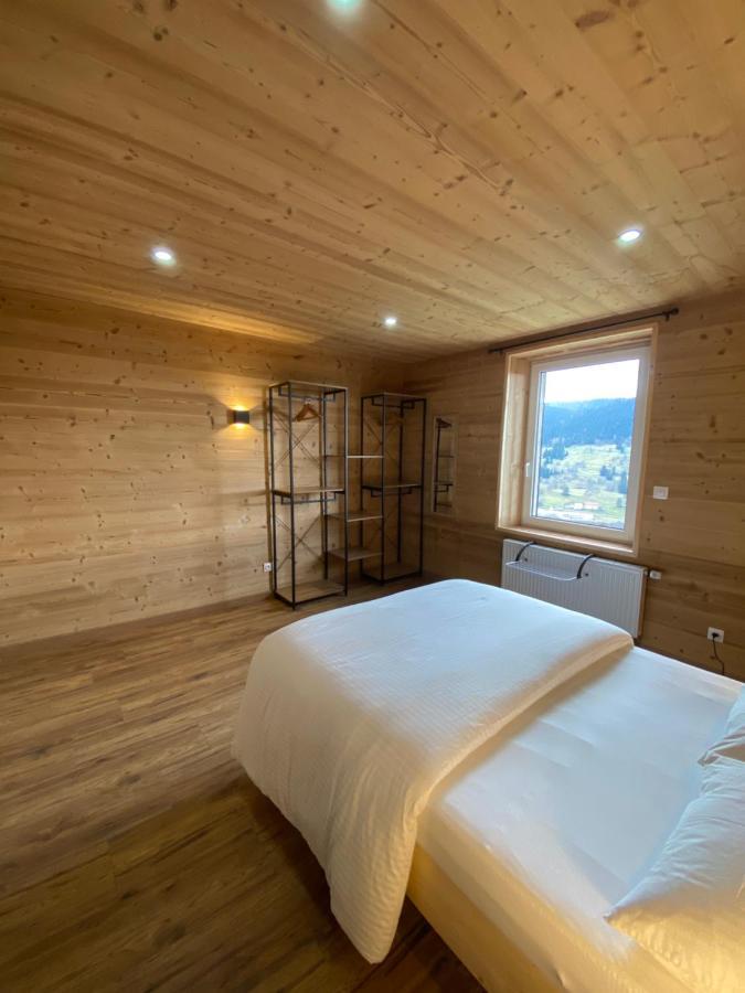 Les Chalets Bambi & Jacuzzi Privatif La Bresse Ngoại thất bức ảnh